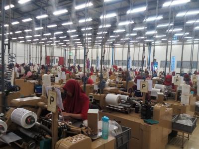 เสียงสะท้อนแรงงานไทย! ILO 2025 เปิดประเด็นร้อนแรงงานดิจิทัลและความปลอดภัย