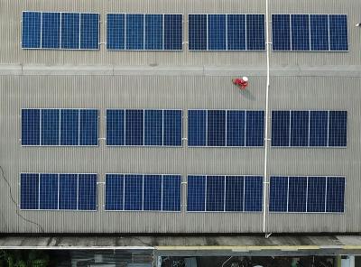 พลิกวิกฤตค่าไฟ! รัฐบาลไทยเตรียมแผนลดค่าไฟฟ้าอุดหนุน ด้วยพลังงานแสงอาทิตย์ จะสำเร็จหรือล้มเหลว?