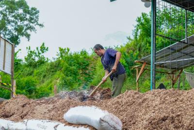 ขุมทรัพย์พลังงานชีวภาพ! อินโดนีเซียซ่อนอะไรไว้? พลิกโฉมประเทศสู่ความมั่นคงด้านพลังงาน! (Khumsap Phalangngan Chiwaphap! Indonesia son arai wai? Phlik chom prathet su khwam mankhong dan phalangngan!)