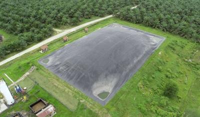 เปิดเบื้องหลังความสำเร็จ! PTPN IV PalmCo ใช้ 'ขยะปาล์ม' สร้างโรงไฟฟ้าสองแห่ง ลดค่าพลังงานมหาศาล ฝ่าวิกฤตโลกได้อย่างไร?