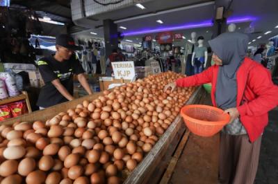 ช็อกตลาดไข่ไก่! Kementan ฟันธงราคาอ้างอิงใหม่ 24,000 รูเปียห์/กก. ใครได้ใครเสีย? เกษตรกรยิ้ม ผู้บริโภคหนาว?